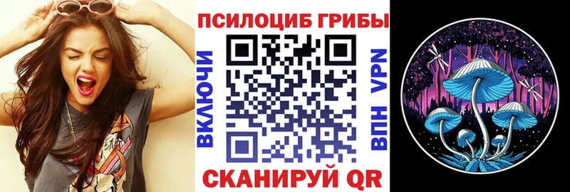 дарнет шоп MEGA как зайти Галлюциногенные грибы Psilocybine cubensis Ногинск