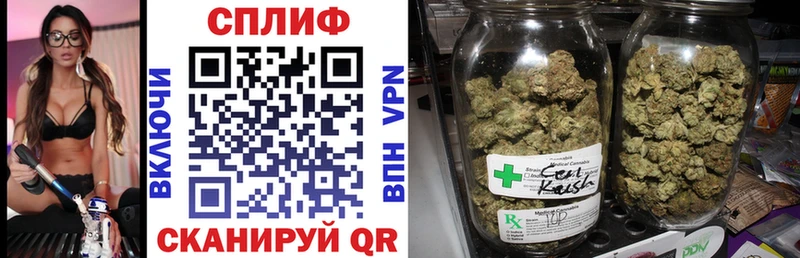 Каннабис план хочу Ногинск